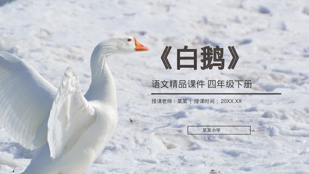 人教版《白鹅》四年级语文下册PPT精品课件1