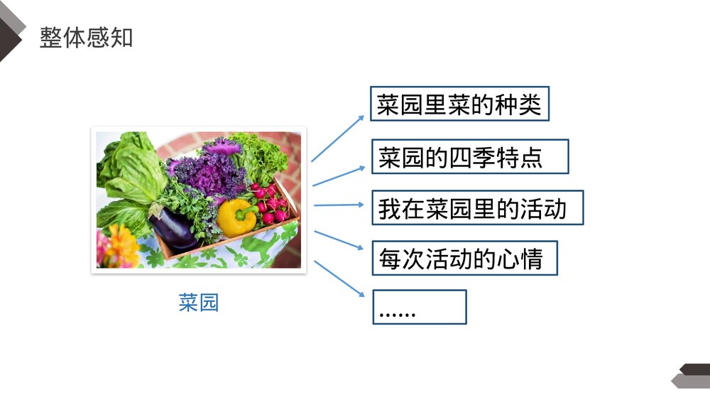 人教版《第1单元习作:我的乐园》四年级语文下册PPT精品课件9