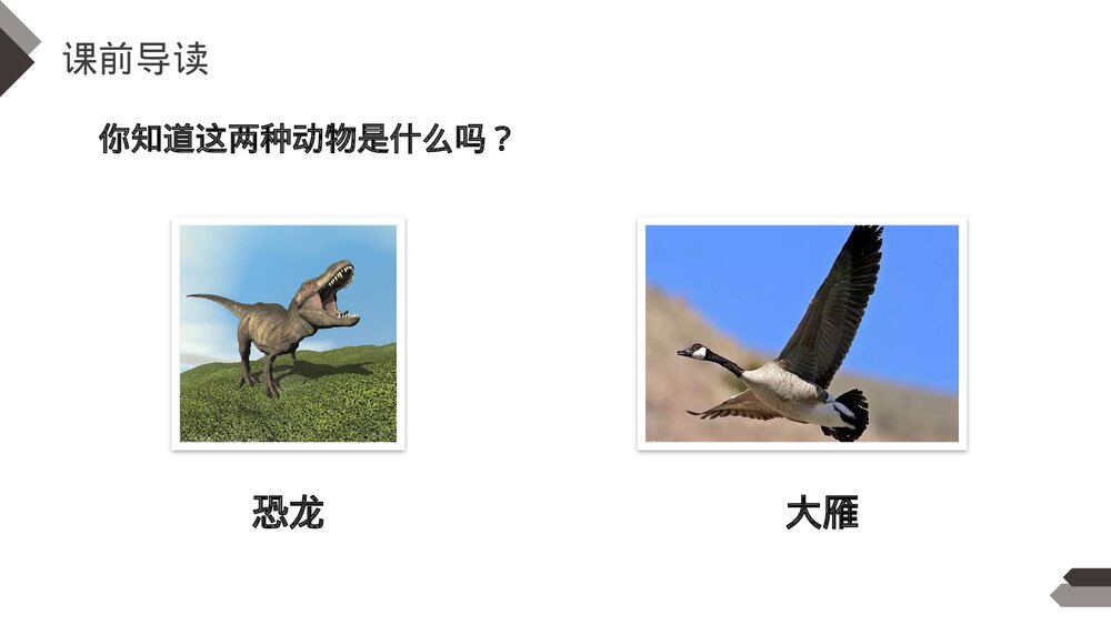 人教版《飞向蓝天的恐龙》四年级语文下册PPT精品课件3