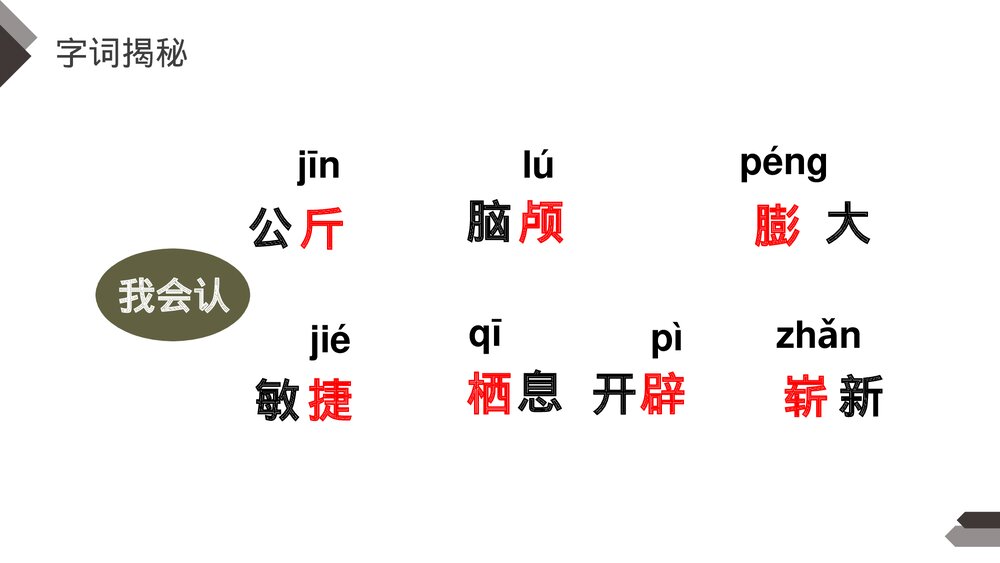 人教版《飞向蓝天的恐龙》四年级语文下册PPT精品课件7