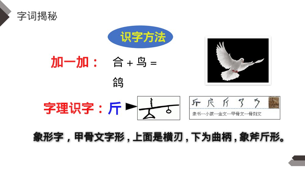 人教版《飞向蓝天的恐龙》四年级语文下册PPT精品课件10