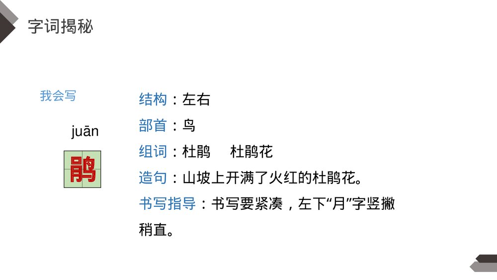 人教版《记金华双龙洞》四年级语文下册PPT精品课件8