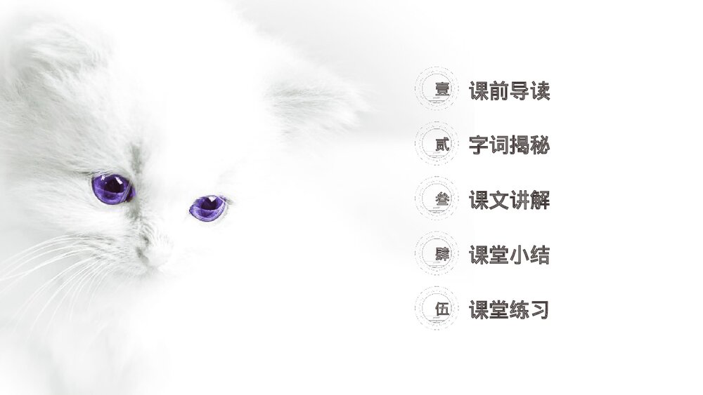 人教版《猫》四年级语文下册PPT精品课件2
