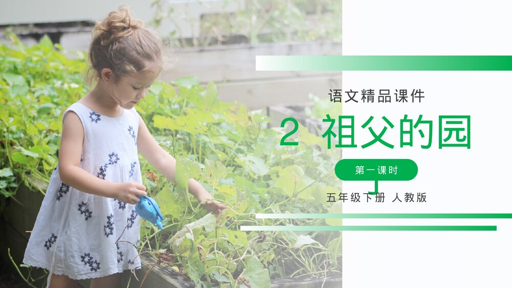 人教版五年级语文下册《祖父的园子》PPT精品课件1