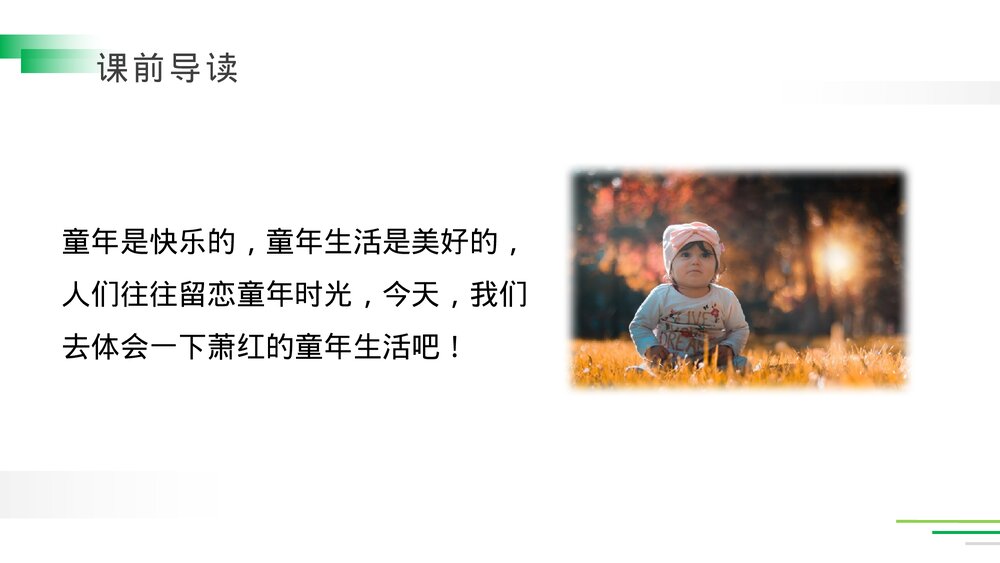 人教版五年级语文下册《祖父的园子》PPT精品课件3