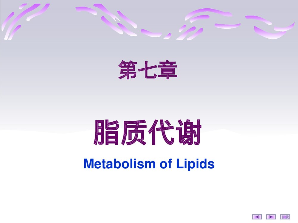 第七章:脂质代谢PPT课件2