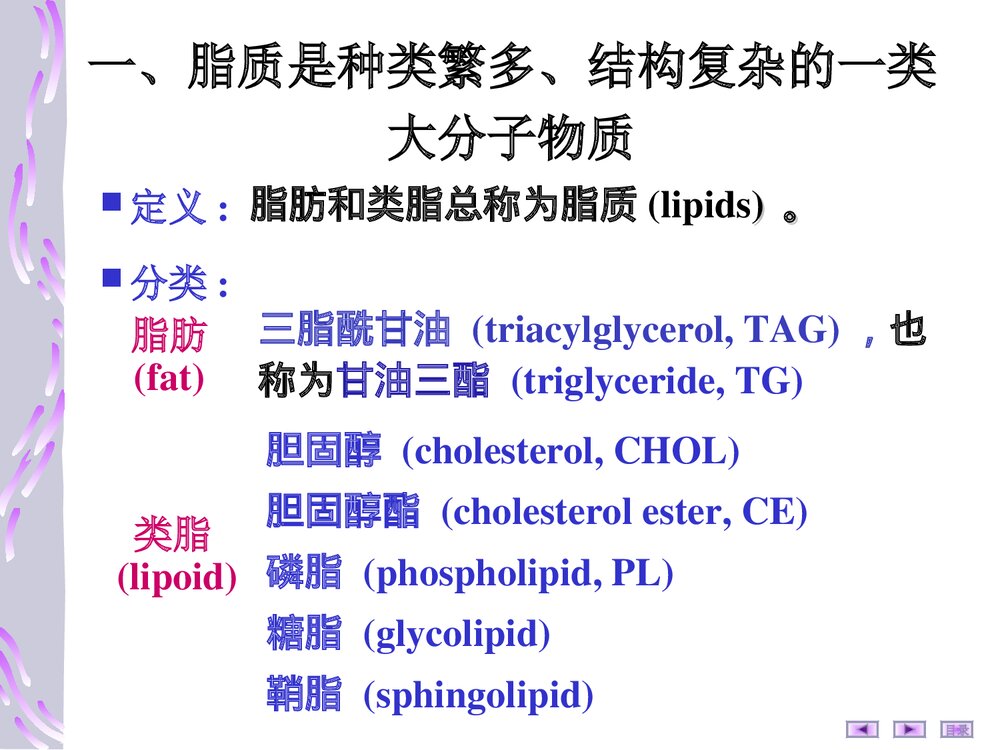 第七章:脂质代谢PPT课件4