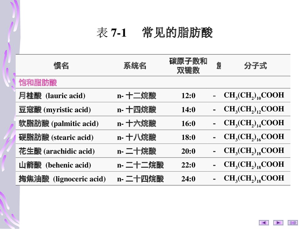 第七章:脂质代谢PPT课件9