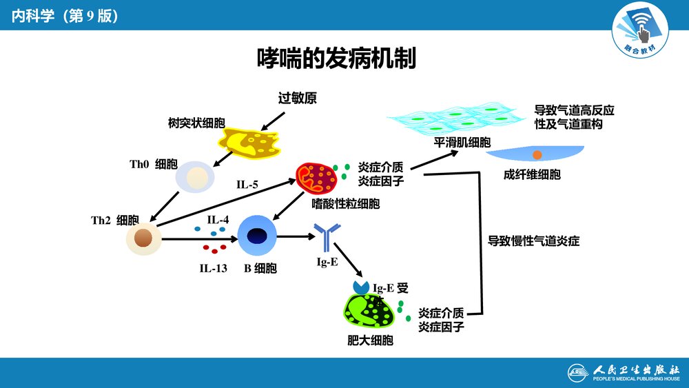 第四章《支气管哮喘》呼吸系统疾病PPT课件6