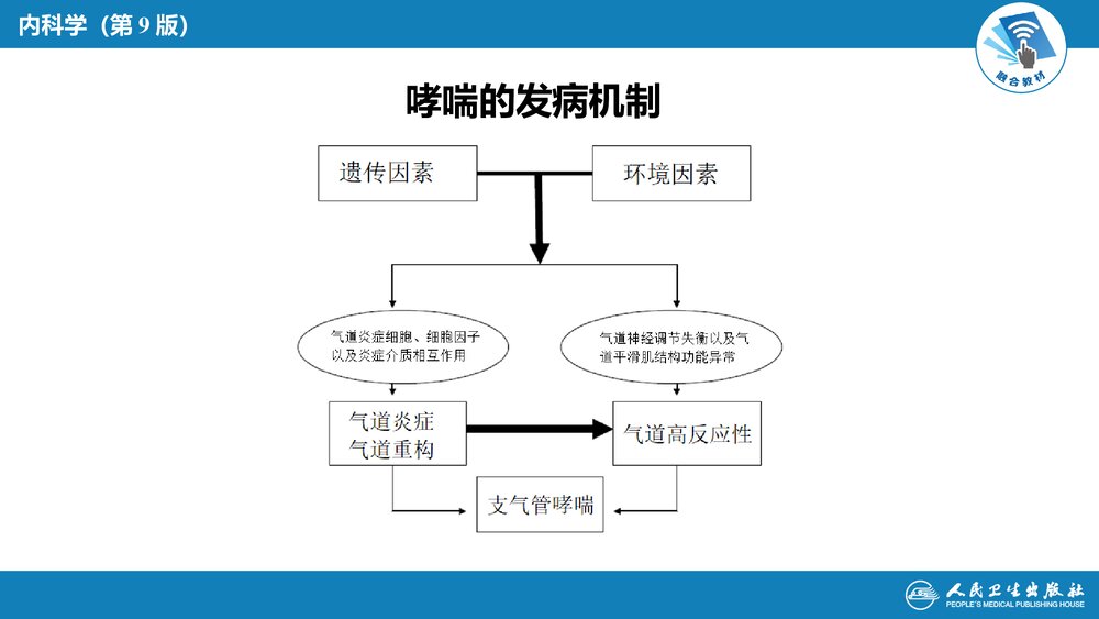第四章《支气管哮喘》呼吸系统疾病PPT课件7