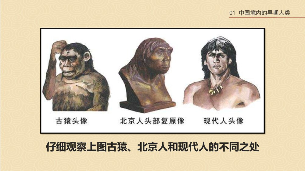 中华文明起源·祖国境内的远古居民》中国历史PPT课件7