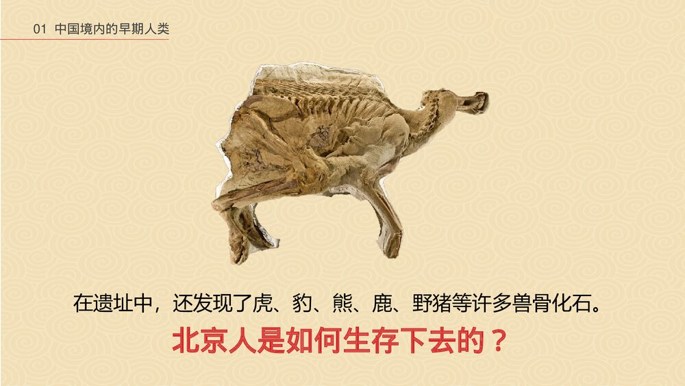 中华文明起源·祖国境内的远古居民》中国历史PPT课件10