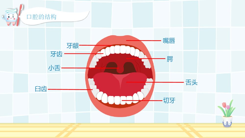 幼儿园教学课件《爱护牙齿》健康教育PPT课件3