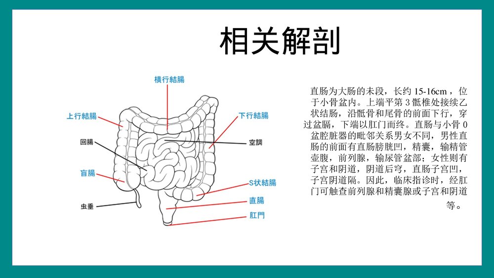 直肠癌根治术手术配合PPT课件8