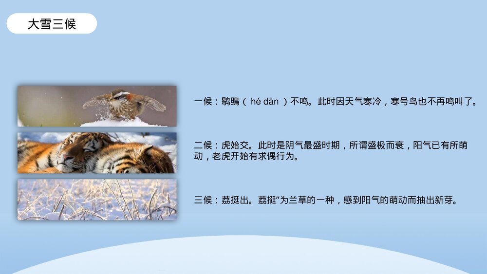 插画风二十四节气·大雪PPT课件(带内容文字)6