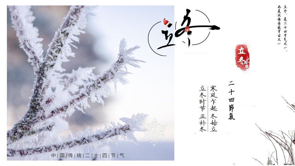 冰封树枝背景《二十四节气·立冬介绍》PPT课件(带内容文字)1