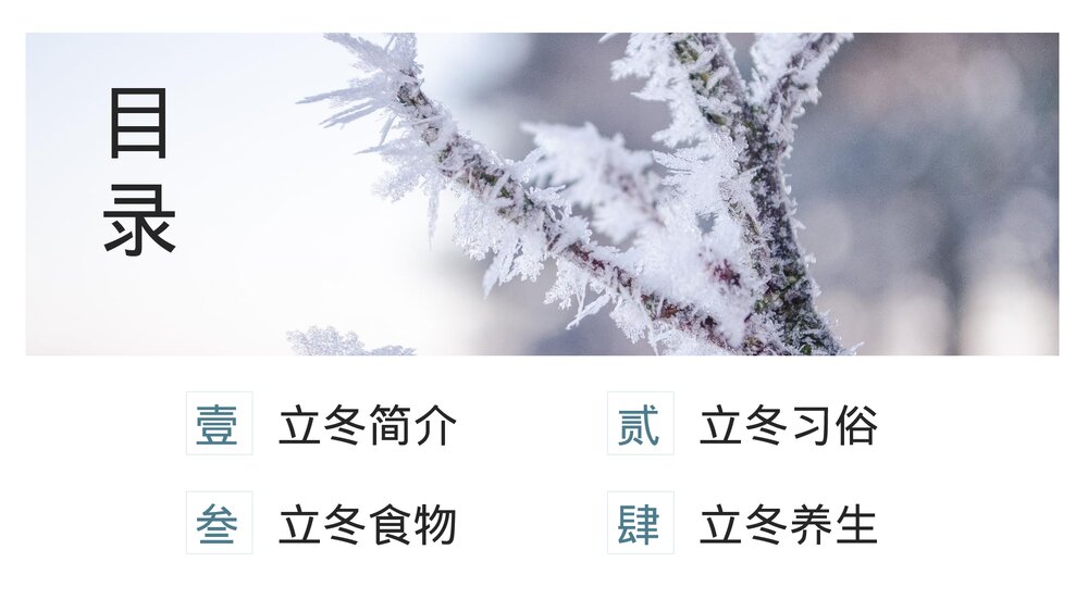 冰封树枝背景《二十四节气·立冬介绍》PPT课件(带内容文字)2