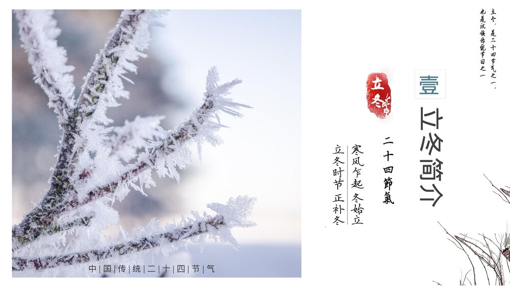 冰封树枝背景《二十四节气·立冬介绍》PPT课件(带内容文字)3