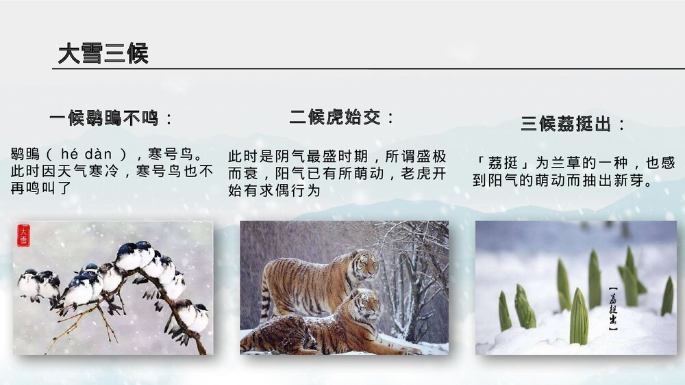 水墨风雪梅背景《大雪节气》介绍PPT课件(带内容文字)7