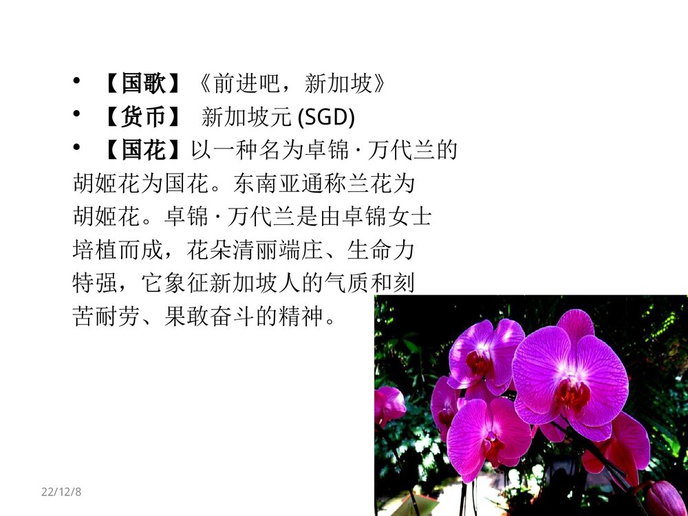新加坡地理PPT课件(共42页·内容文字·可编辑修改)6