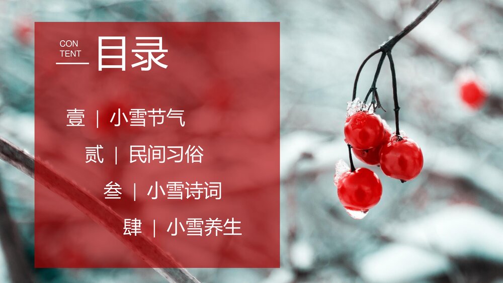 中国传统·二十四节气介绍PPT课件(带内容文字)2