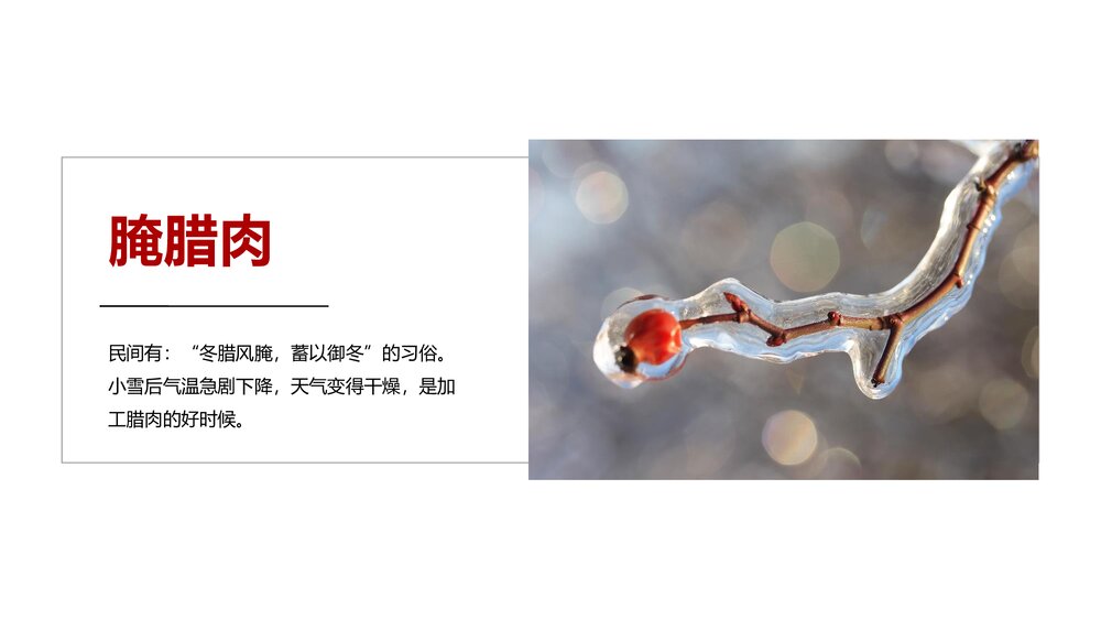 中国传统·二十四节气介绍PPT课件(带内容文字)10