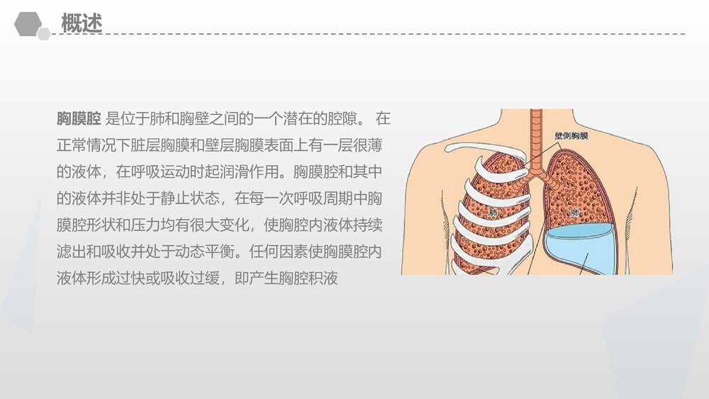 胸腔积液教案课件PPT (共45页·内容文字可编辑修改)4