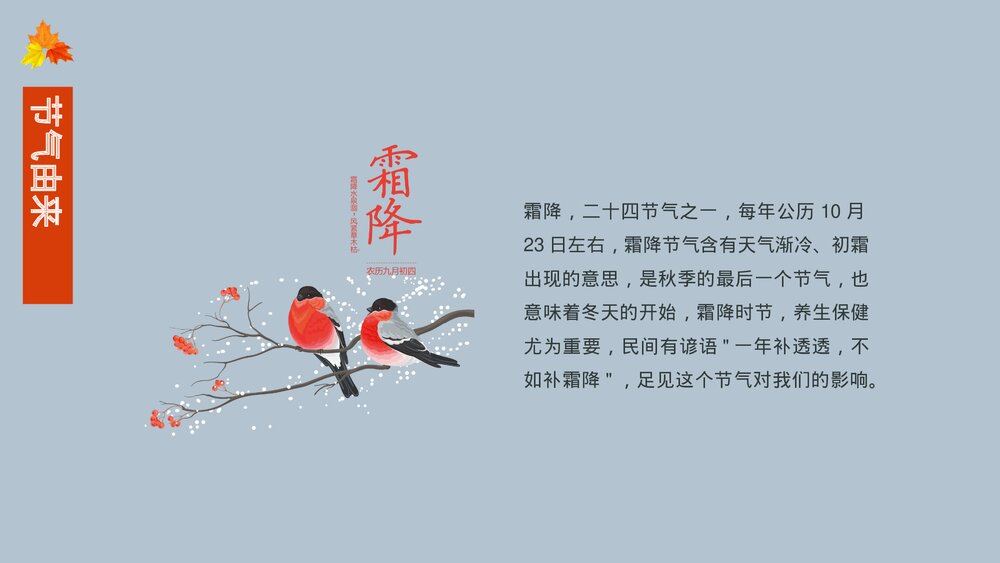 中国传统二十四节气霜降节气主题介绍PPT课件(内容文字可编辑修改)4