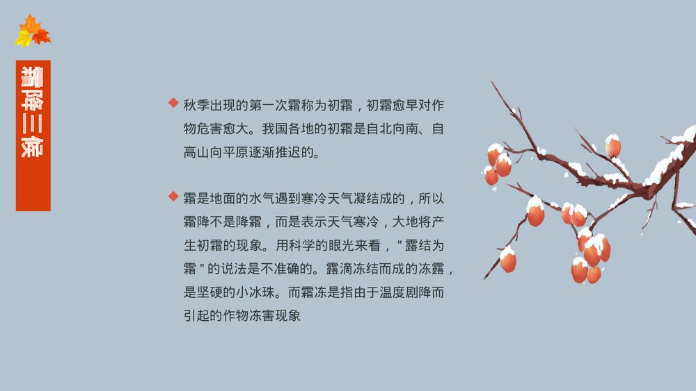 中国传统二十四节气霜降节气主题介绍PPT课件(内容文字可编辑修改)9