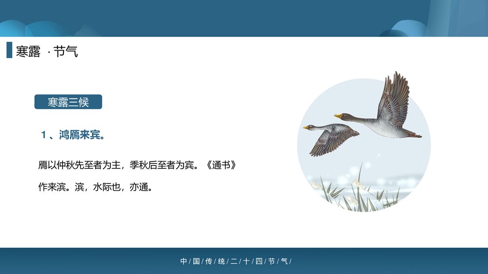 中国传统二十四节气之寒露PPT课件(内容文字可编辑修改)8