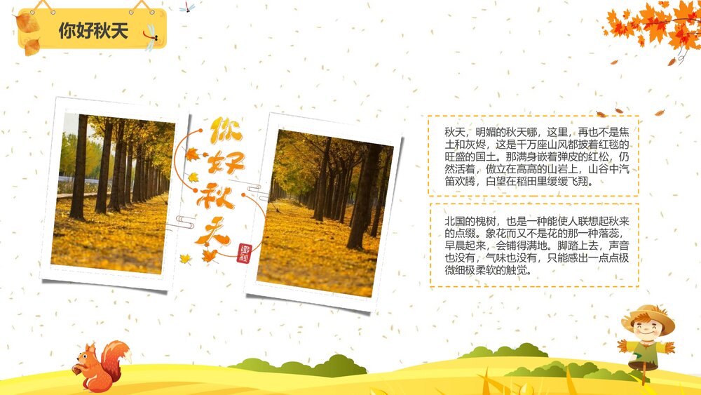 插画风·二十四节气·秋分主题PPT课件(共26页·含内容文字可编辑修改)6