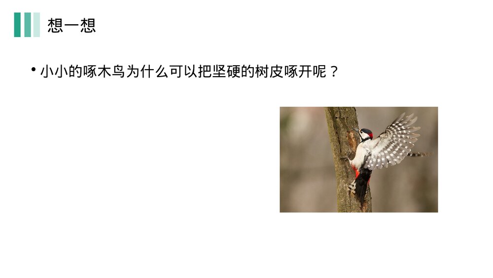 《压强》人教版物理八年级下册(初二)PPT课件5