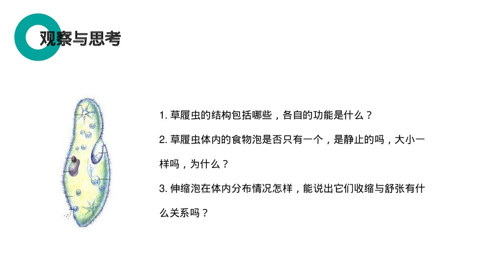 人教版七年级生物上册·初一《单细胞生物》PPT课件7