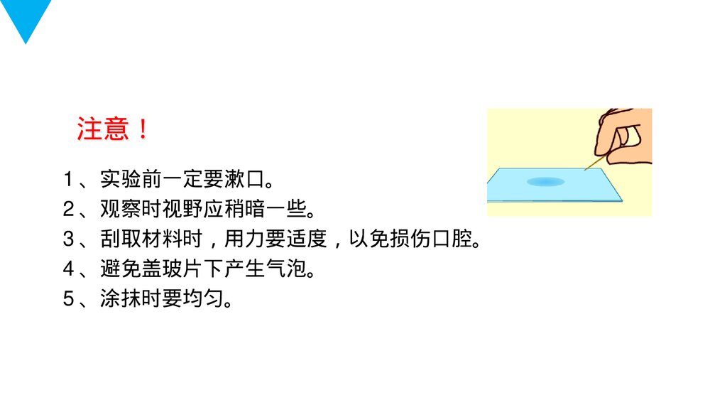 人教版七年级生物上册·初一《动物细胞》PPT课件5