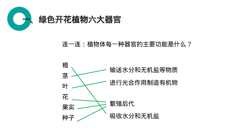 人教版七年级生物上册·初一《植物体的结构层次》PPT课件5