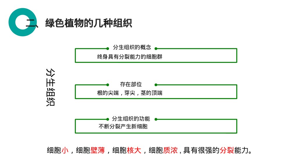 人教版七年级生物上册·初一《植物体的结构层次》PPT课件7