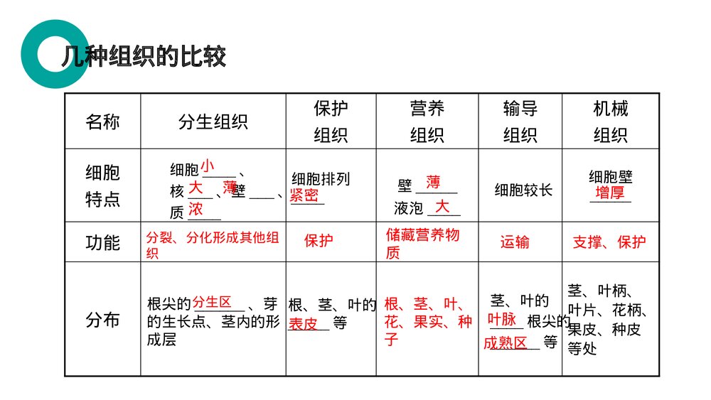 人教版七年级生物上册·初一《植物体的结构层次》PPT课件9