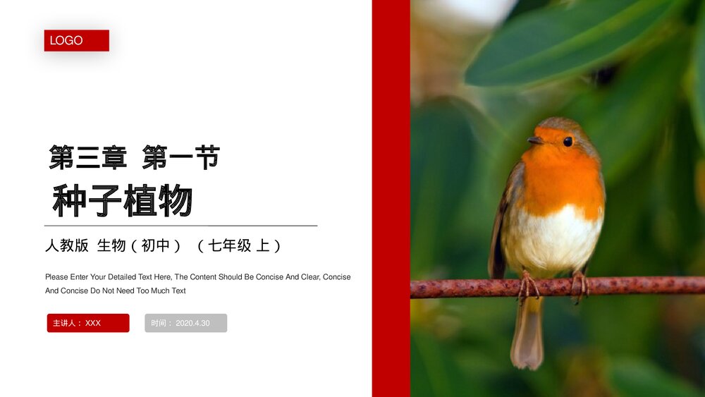 人教版七年级生物上册·初一《种子植物》PPT课件1