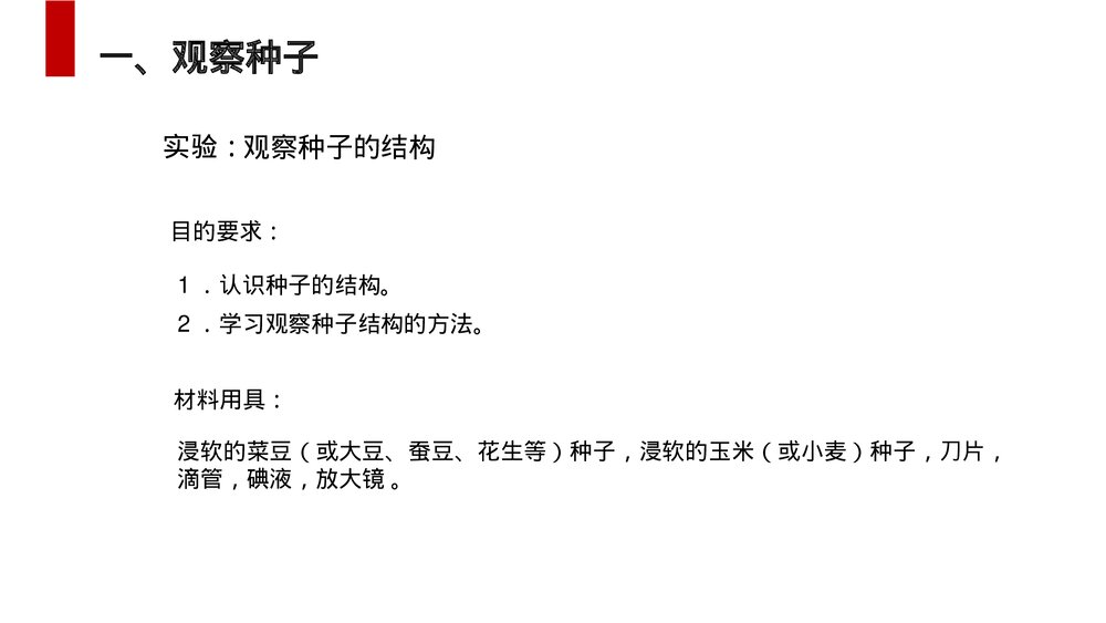 人教版七年级生物上册·初一《种子植物》PPT课件2