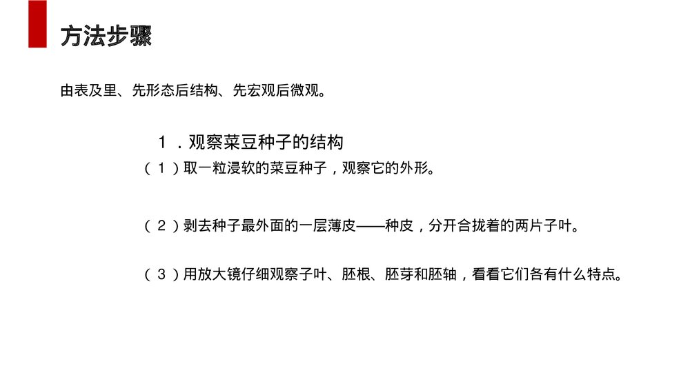人教版七年级生物上册·初一《种子植物》PPT课件3