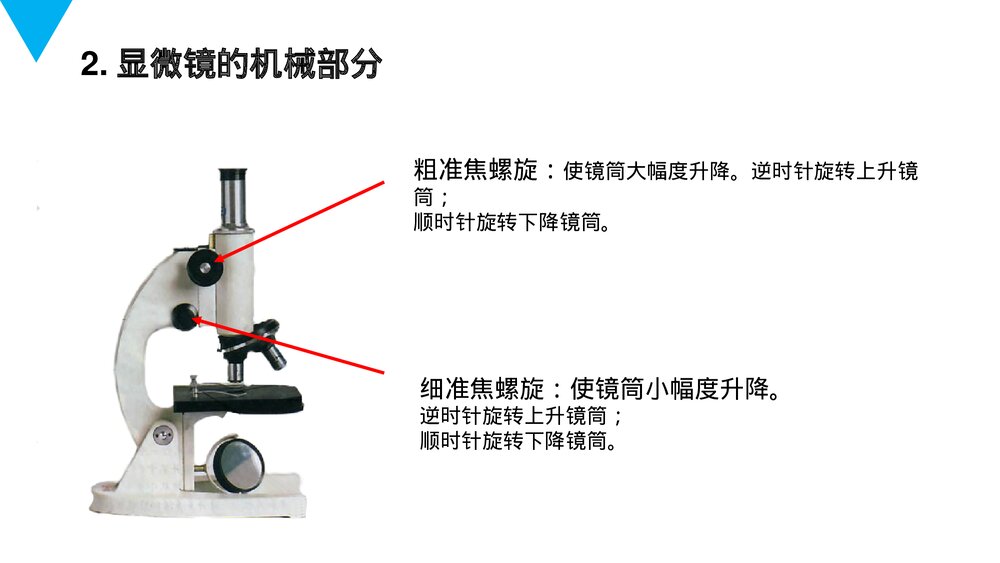 人教版七年级生物上册·初一《练习使用显微镜》PPT课件4