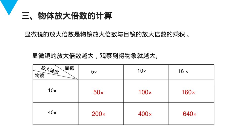 人教版七年级生物上册·初一《练习使用显微镜》PPT课件10