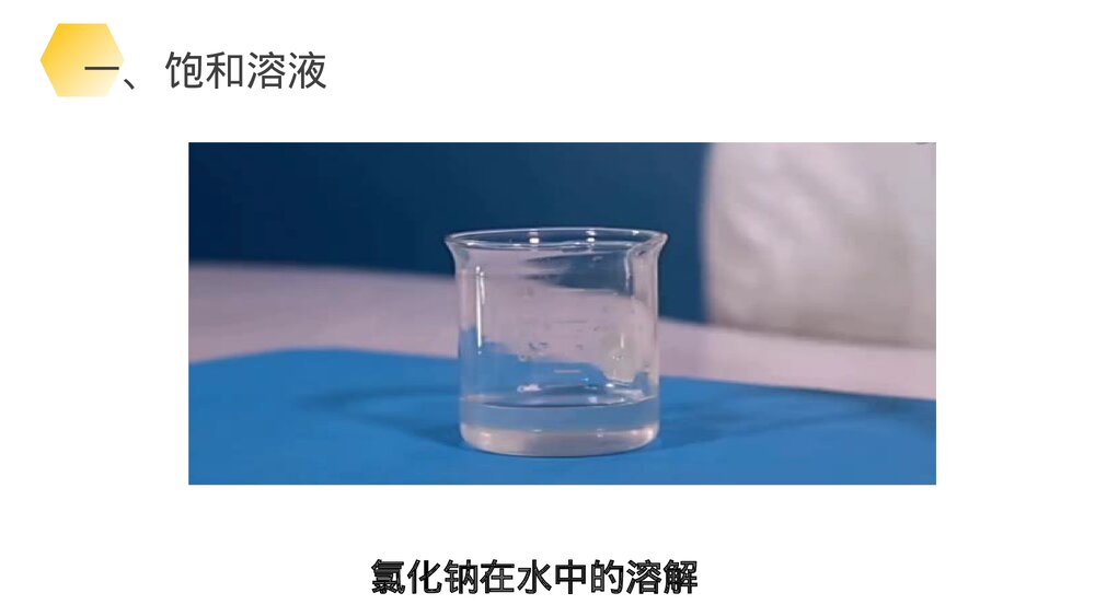 九年级化学下册·初三《溶解度》(第9.2.1课时)PPT课件4