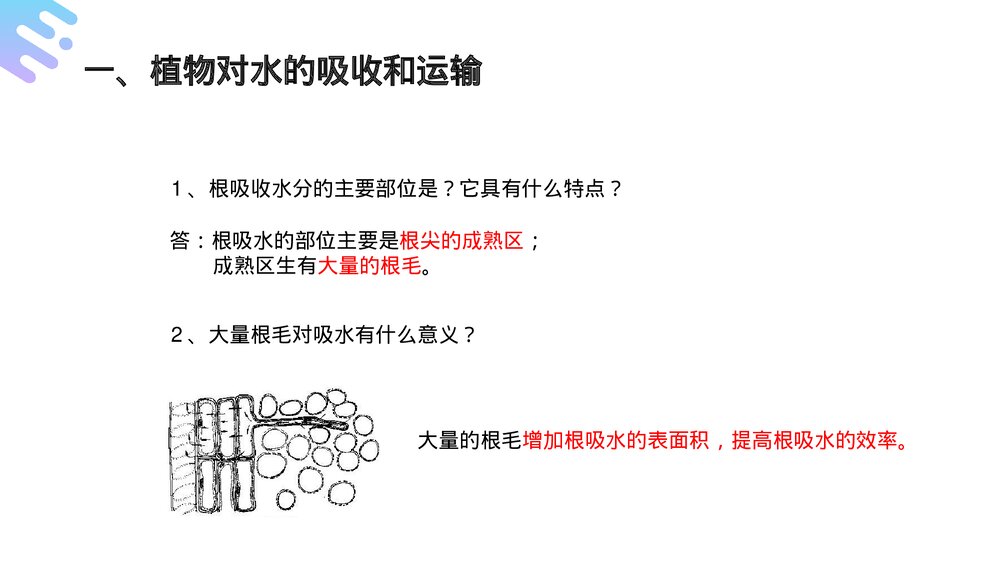 人教版七年级生物上册·初一《绿色植物与生物圈的水循环》PPT课件5