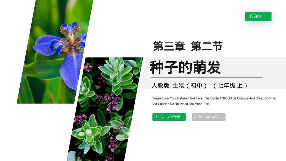 人教版七年级生物上册·初一《种子的萌发》PPT课件1