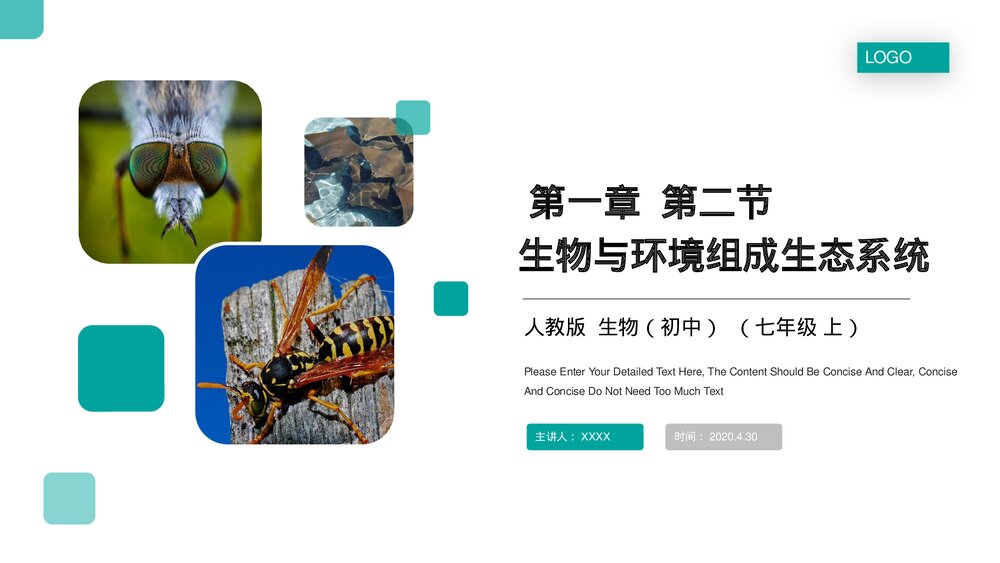 人教版七年级生物上册·初一《生物与环境组成生态系统》PPT课件1