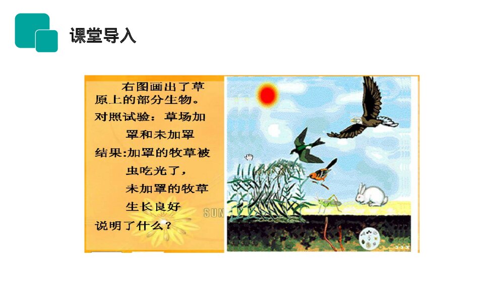 人教版七年级生物上册·初一《生物与环境组成生态系统》PPT课件2