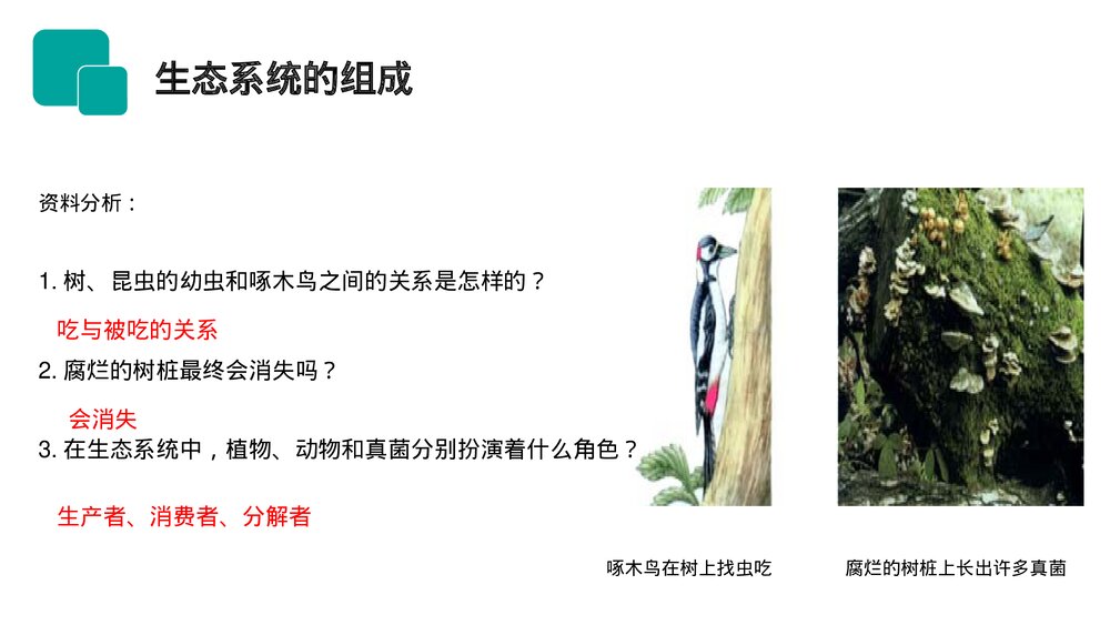 人教版七年级生物上册·初一《生物与环境组成生态系统》PPT课件5