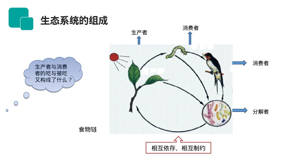 人教版七年级生物上册·初一《生物与环境组成生态系统》PPT课件7