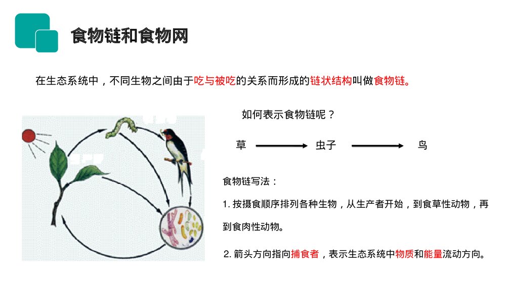 人教版七年级生物上册·初一《生物与环境组成生态系统》PPT课件8